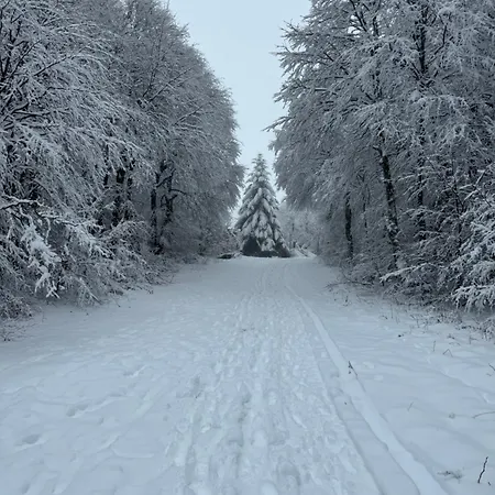 De Charme Pied Des Pistes *