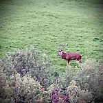 De Charme Pied Des Pistes * Laguiole