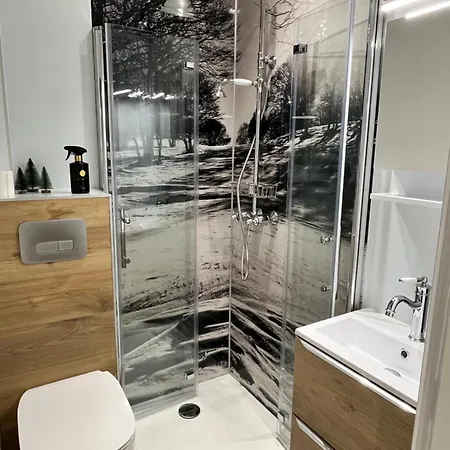 De Charme Pied Des Pistes Apartment Laguiole