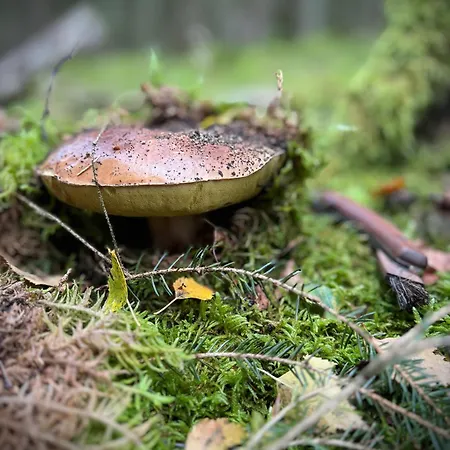 Апартаменты De Charme Pied Des Pistes