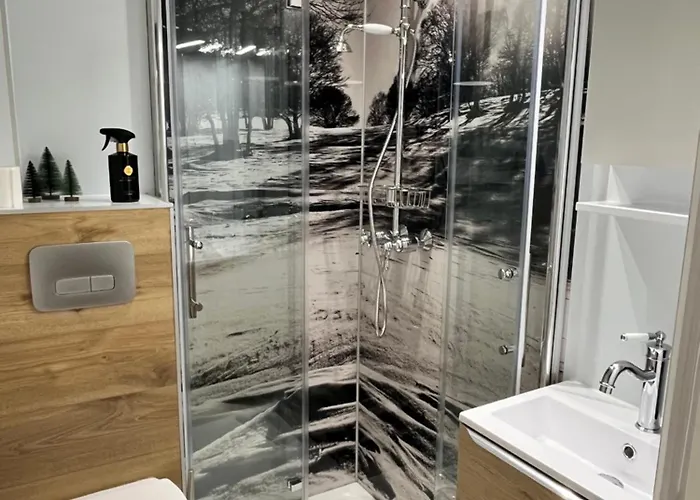 De Charme Pied Des Pistes Apartment Laguiole